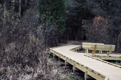 Bench in forest