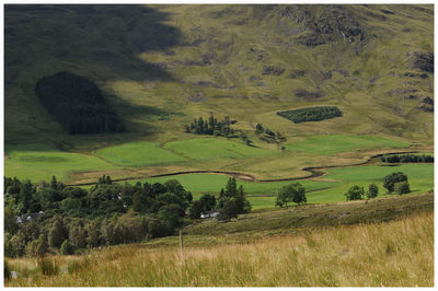 Scenic view of green landscape