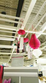 Low angle view of pink flowers