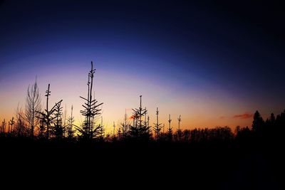 Silhouette plants against clear sky during sunset