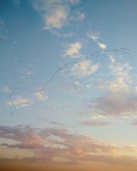 Low angle view of birds flying in sky