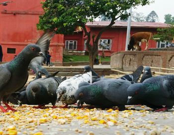 View of built structure