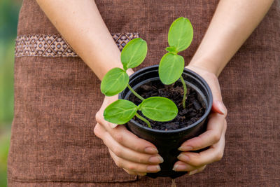 Midsection of woman holding plant