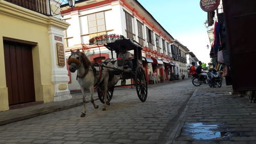 Horse walking on road