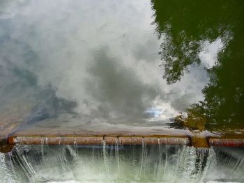 Reflection of trees in water