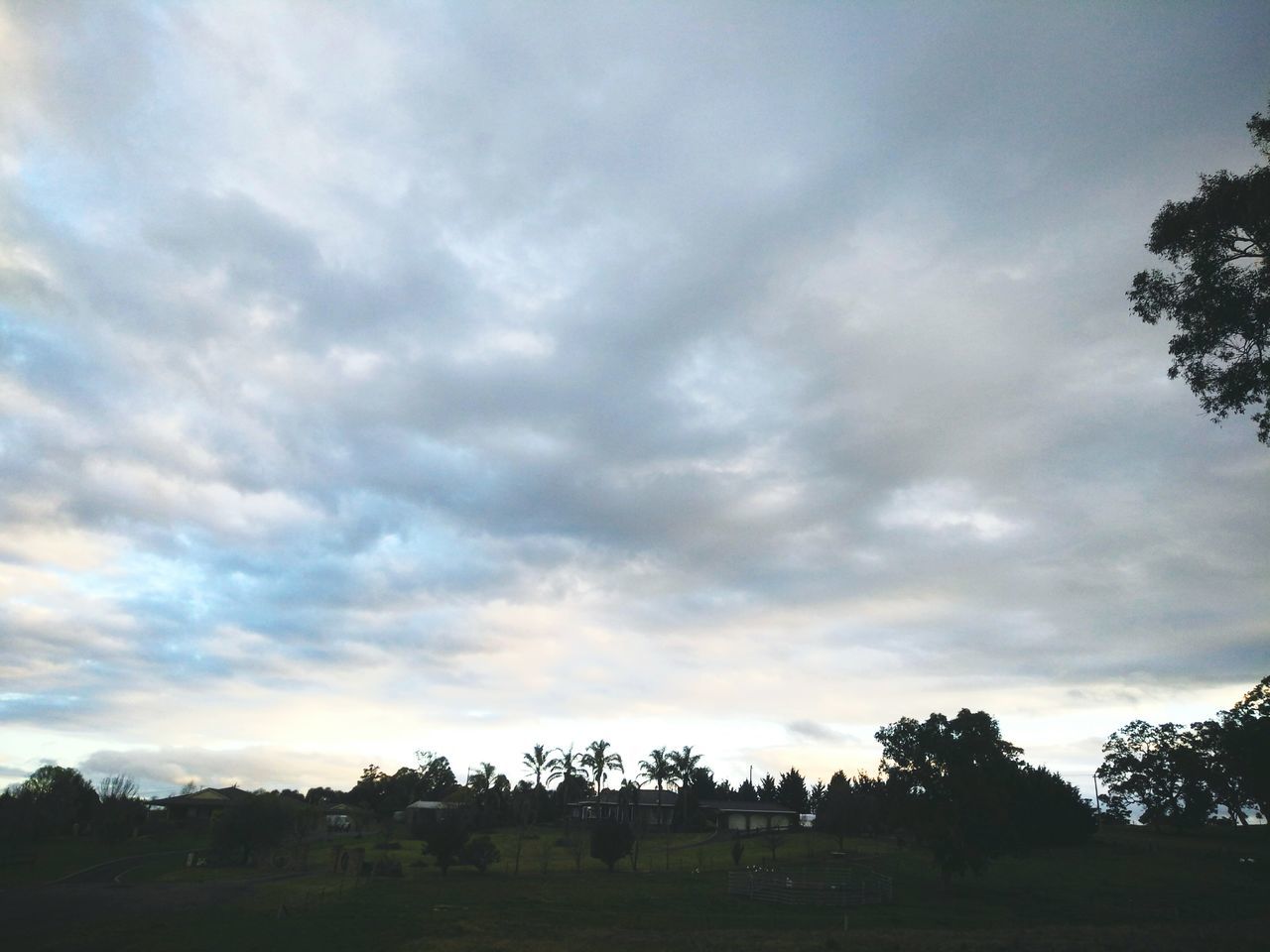 TREES ON FIELD AGAINST CLOUDY SKY