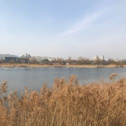 Scenic view of river against sky