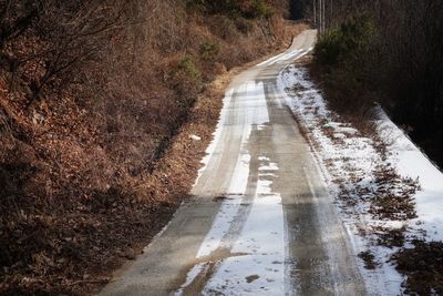 Road amidst trees