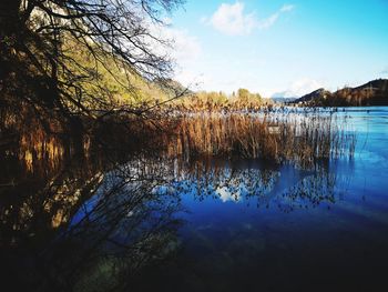 Scenic view of lake against sky