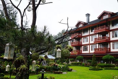 Lawn by building against sky