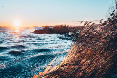 Scenic view of sea against sky during sunset