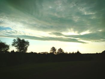 Silhouette of trees on field against sky at sunset