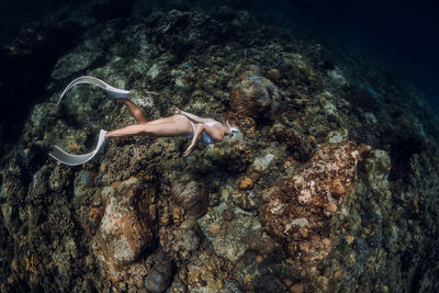 High angle view of man swimming in sea