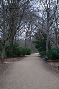 Empty road amidst trees in park