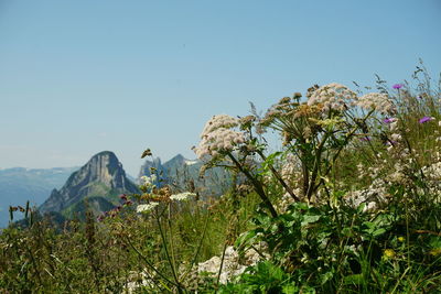 Scenic view of mountains against clear sky