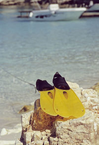 Close-up of yellow horse on beach