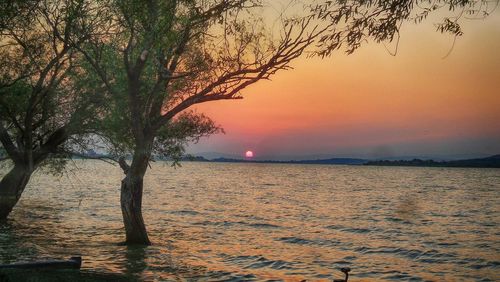 Scenic view of sea during sunset