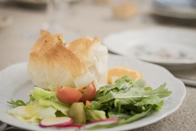 Close-up of salad served in plate