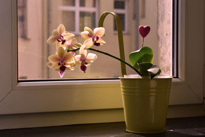 Close-up of flower vase on table by window