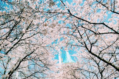 Low angle view of bare trees against blue sky