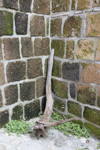 Full frame shot of stone wall