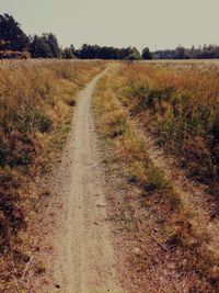 Dirt road amidst field against sky