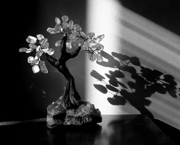 Close-up of plant on table