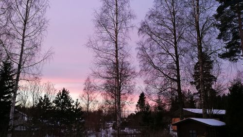 Low angle view of silhouette trees against sky