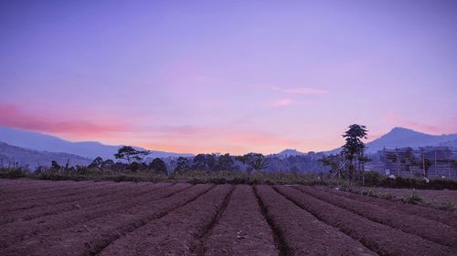 Scenic view of field against sky during sunset