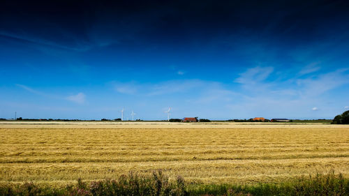 Scenic view of agricultural field against blue sky