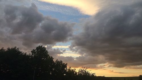 Silhouette trees against sky during sunset