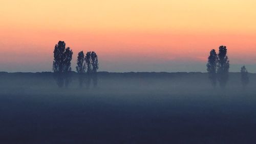 Silhouette trees on landscape against sky during sunset