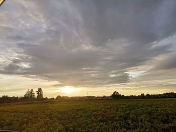 Scenic view of field against sky during sunset