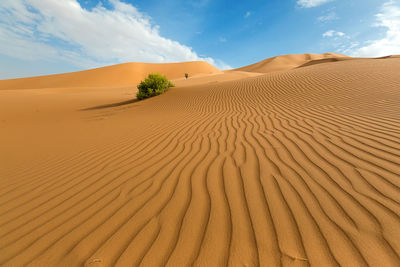 Scenic view of desert against sky