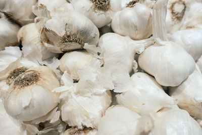 Full frame shot of white garlic