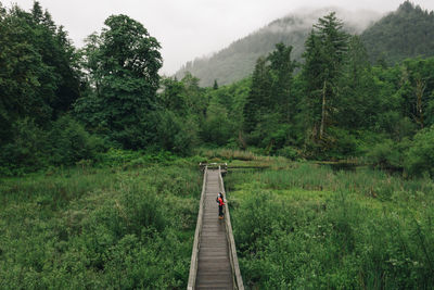 A young couple enjoys a hike on a boardwalk in the pacific northwest.