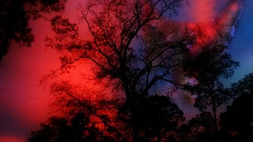 Low angle view of bare tree against sky