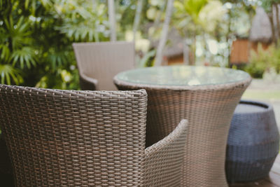 Close-up of potted plant on table