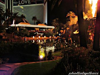 View of swimming pool at night