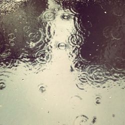 Close-up of water drops on ground