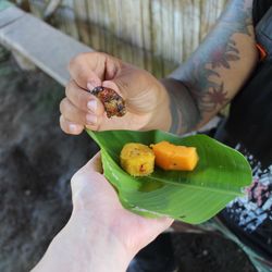 Cropped image of hand holding food on banana leaf while friend holding dead palm beetle larvae