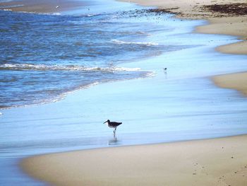 Scenic view of beach