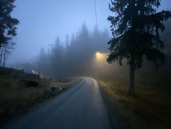 Road amidst trees against sky during foggy weather