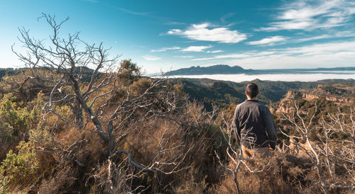 Rear view of man standing on land against sky