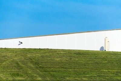View of grassy field against clear blue sky