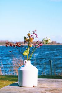 Close-up of potted plant on table against sky