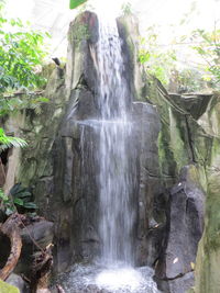 Waterfall in forest