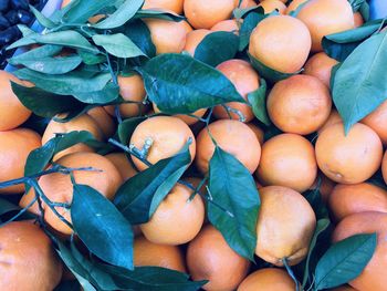 High angle view of fruits for sale in market