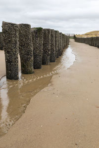 Wooden posts on beach against sky