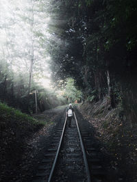 Railroad tracks in forest